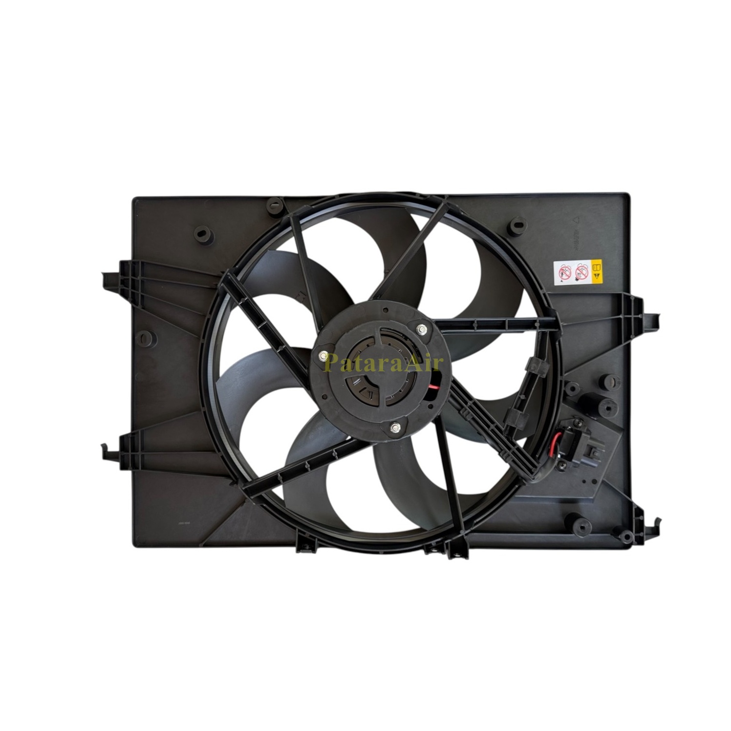 BYD Dolphin มีใบ มีโครง กต 014222 4.9kg (1)